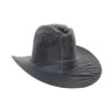 Clear Hat Cover 347190 -Western Edge 347160 347170 347180 347190 ladyown ab1ce2ea 699a 412e b331 10b04f0a0032