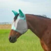 Cashel Mint Fly Mask With Ears -Western Edge cfmhse 20mt