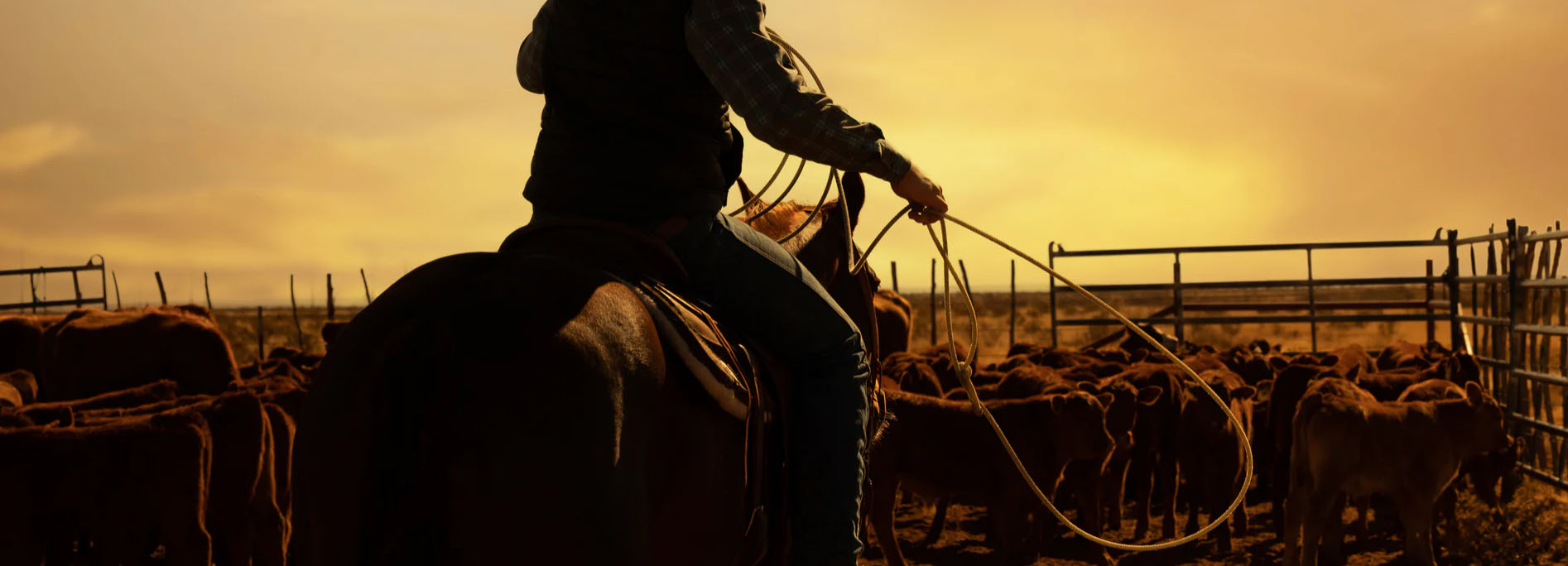 Western Edge -Western Edge fhfg 1